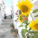 From Málaga: Frigiliana Hiking Tour with Wine & Appetizers - The Value of This Tour