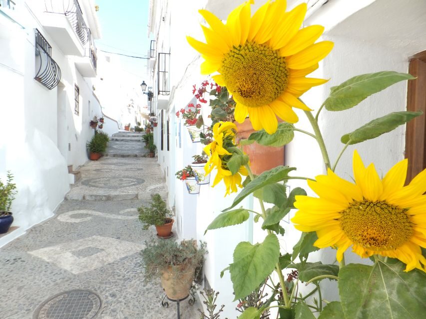 From Málaga: Frigiliana Hiking Tour with Wine & Appetizers - The Value of This Tour
