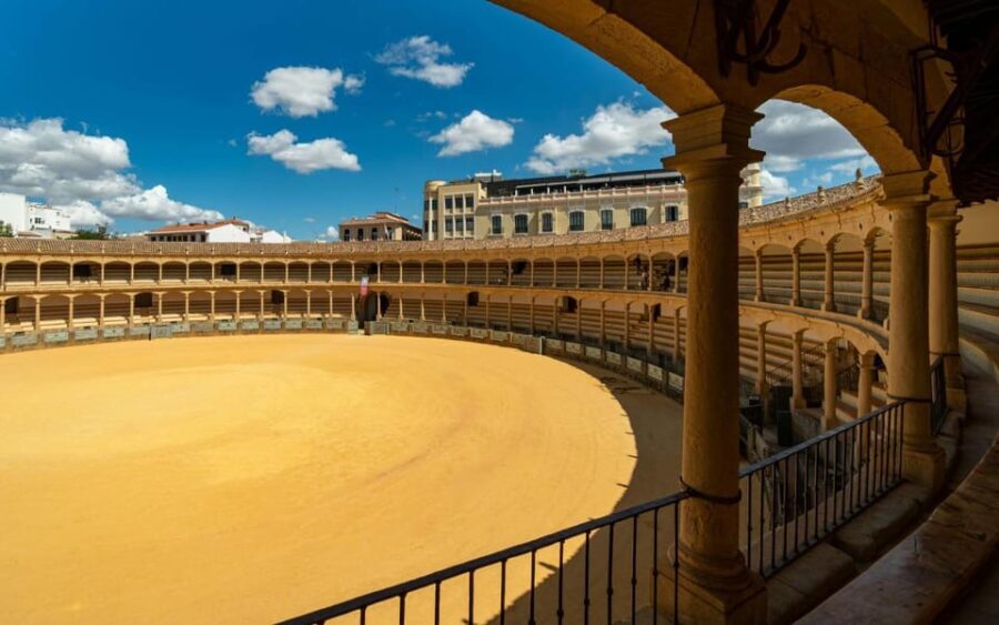 From Malaga or Marbella: Ronda Private Day Trip - Authentic Insights from Travelers