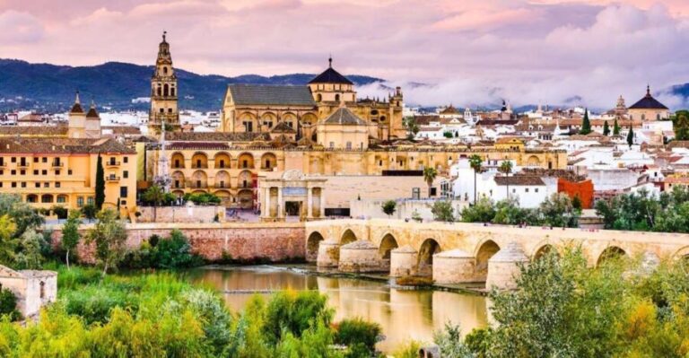 From Malaga: Private day trip to Cordoba, Mosque & Cathedral - Who Should Consider This Tour?