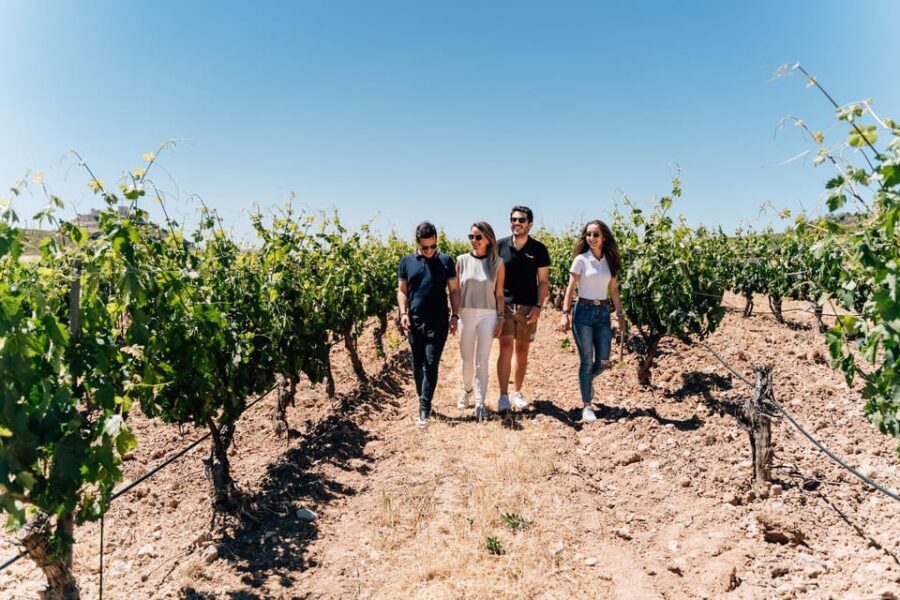 From Málaga: Ronda, Wine & Olive Oil Tasting Small Group - Why This Tour Works for You