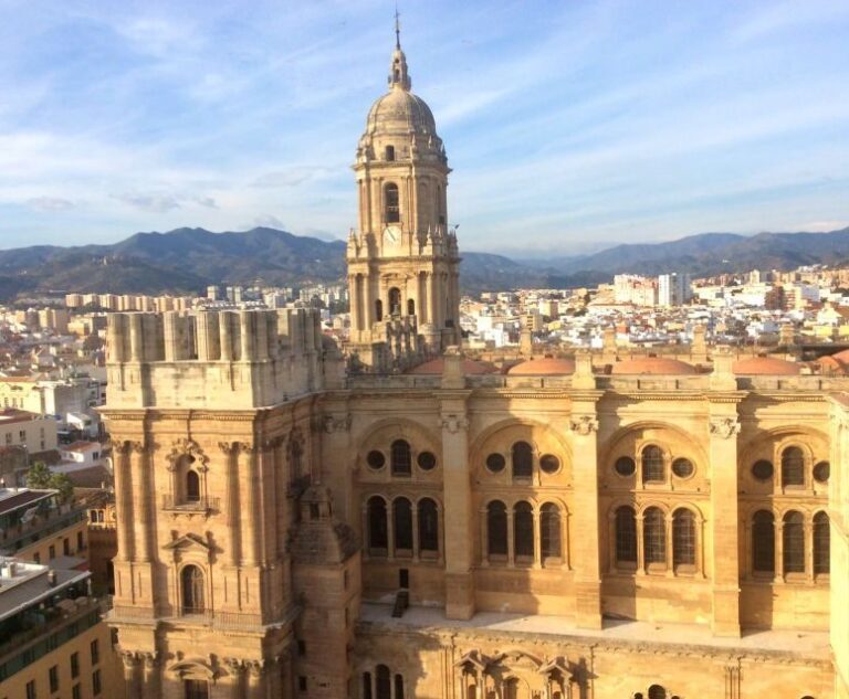 From Marbella: Malaga private Tour - Transportation and Logistics