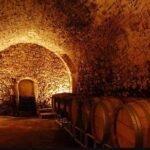 From Marseille : Sidecar Wine Tour to Cassis and Bandol - Why This Tour Works Well