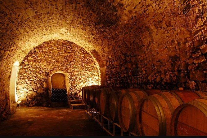 From Marseille : Sidecar Wine Tour to Cassis and Bandol - Why This Tour Works Well