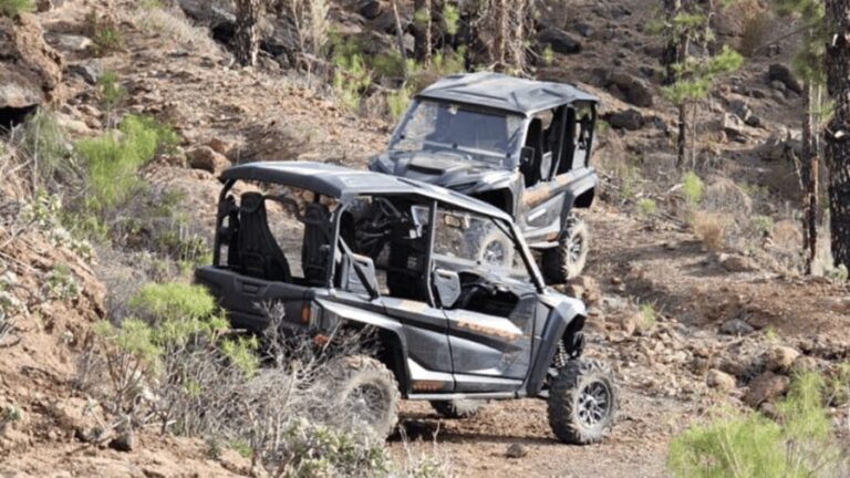 From Maspalomas: Volcanic Landscapes 4-Seater Buggy Tour - The Itinerary Breakdown