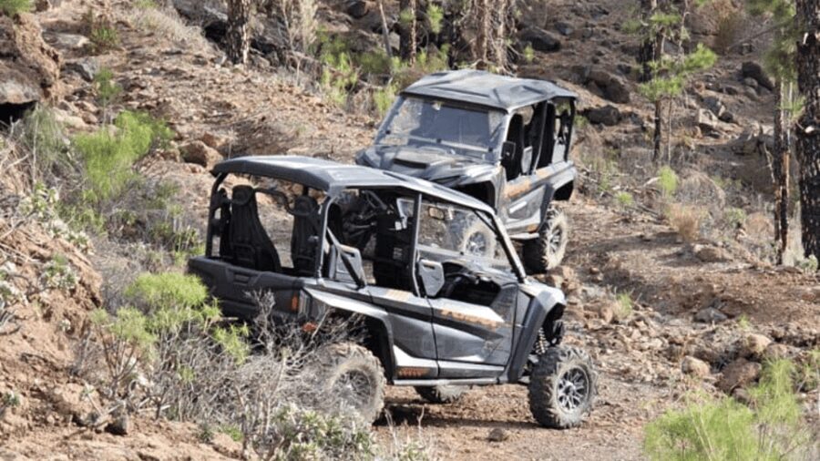 From Maspalomas: Volcanic Landscapes 4-Seater Buggy Tour - The Itinerary Breakdown
