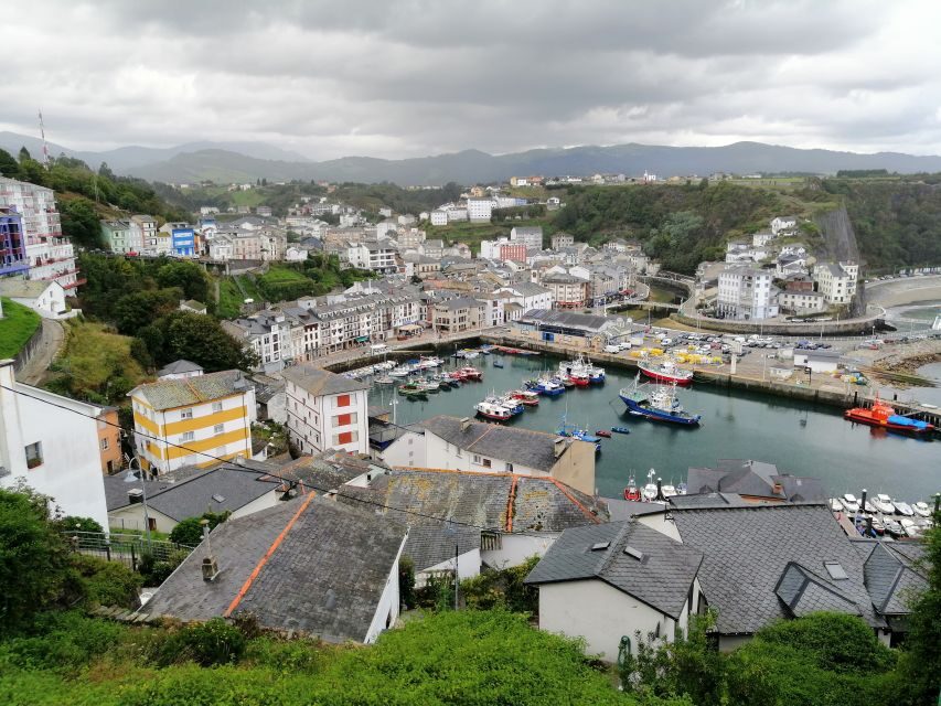 From Oviedo: Luarca, Cudillero and Avilés Day Trip - Who Will Enjoy This Tour?
