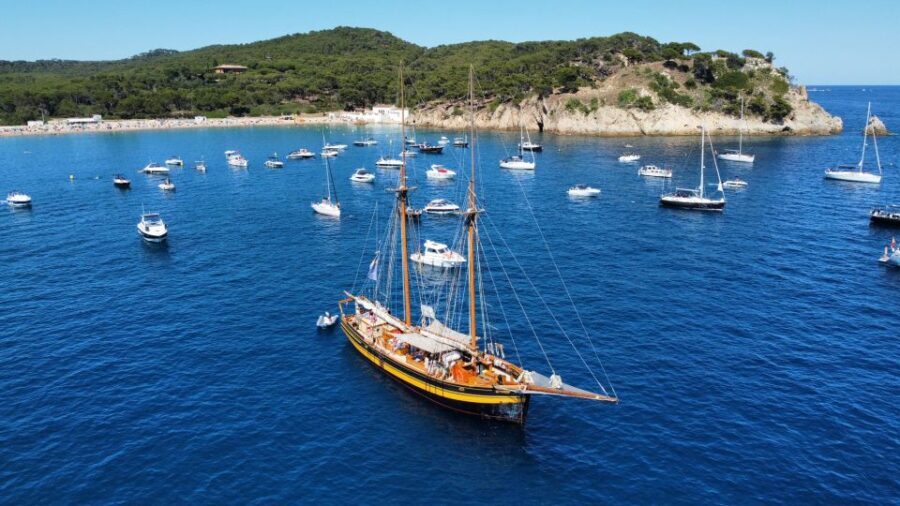 From Palamos: Scenic Boat Trip to Calella de Palafrugell - An In-Depth Look at the Experience