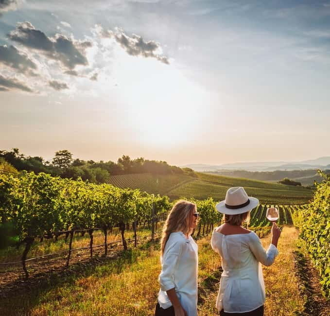 From Palma de Mallorca: Private Wine and Local Flavors Tour - A Closer Look at the Mallorca Wine & Flavors Tour