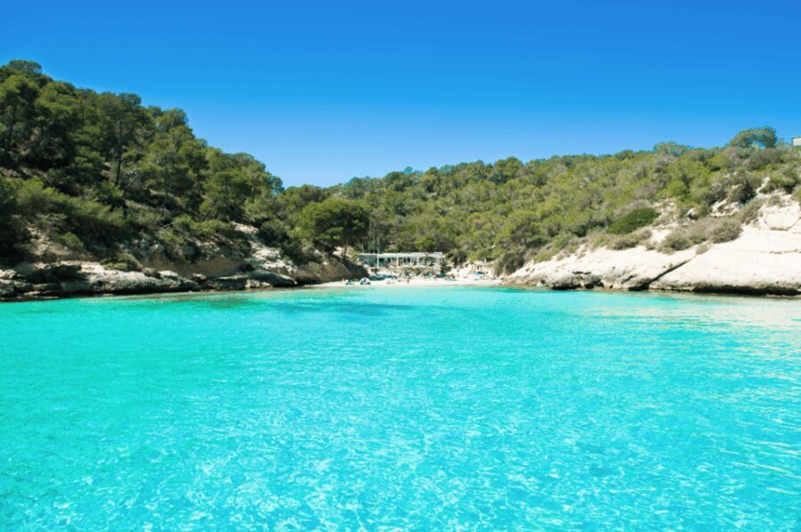 From Palma: Portal Vells Beach and Cave SUP & Snorkel Tour - Who Would Love This Tour?