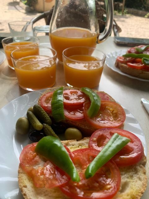 From Palma: Soller valley walk and picnic in orange farm - Who Should Consider This Tour?