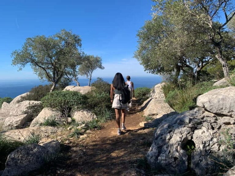 From Palma: Valldemossa Tour and Mountain Viewpoint Hike - Exploring Mallorca’s Hidden Gem: Valldemossa and Mountain Viewpoints