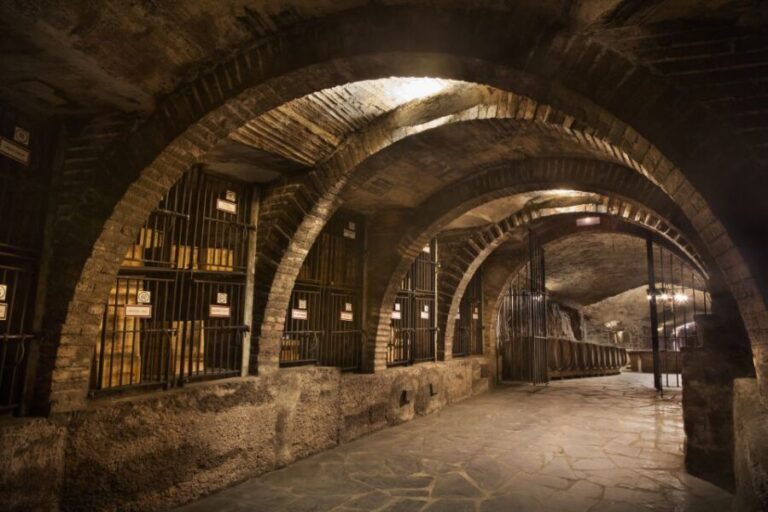 From Pamplona or Logroño: Rioja Wineries Day Trip w/ Tasting - A Closer Look: What You’ll Experience