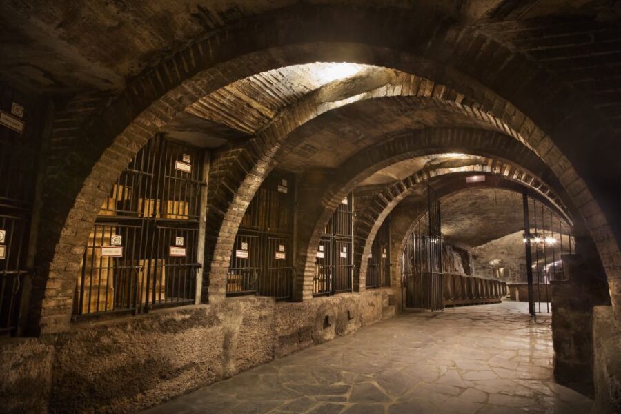 From Pamplona or Logroño: Rioja Wineries Day Trip w/ Tasting - A Closer Look: What You’ll Experience