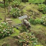 From Ponta Delgada: Nordeste 4x4 Guided Day Trip & Lunch - An In-Depth Look at the Nordeste 4x4 Guided Day Trip