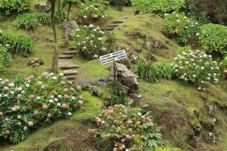From Ponta Delgada: Nordeste 4x4 Guided Day Trip & Lunch - An In-Depth Look at the Nordeste 4x4 Guided Day Trip