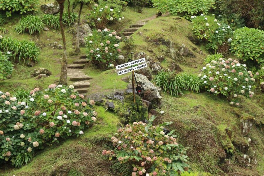 From Ponta Delgada: Nordeste 4x4 Guided Day Trip & Lunch - An In-Depth Look at the Nordeste 4x4 Guided Day Trip