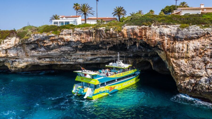 From Porto Cristo: East Coast Glass-Bottom Boat Trip - Final Thoughts