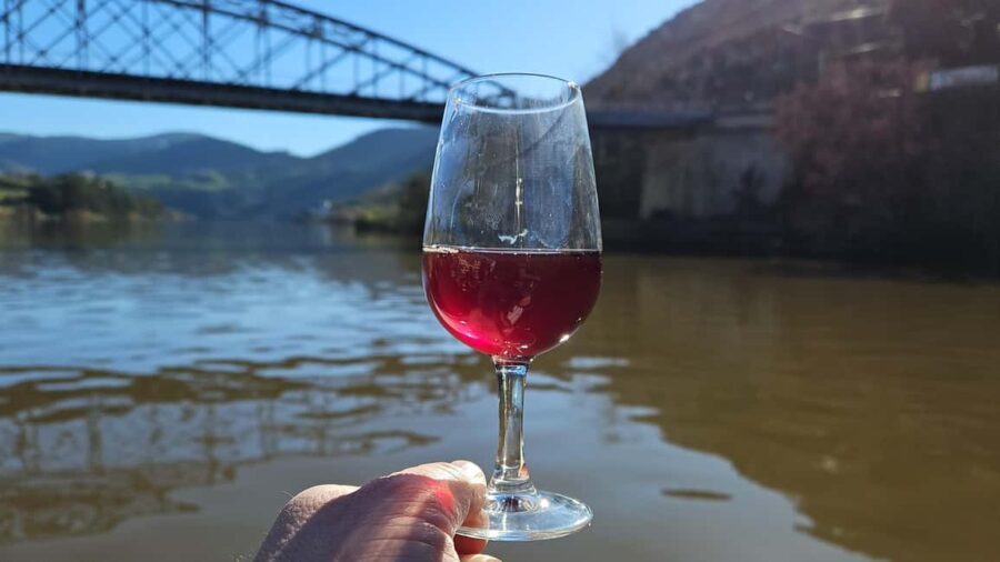 From Porto Douro Valley Tour with Train and Vinho Verde - A Closer Look at the Douro Valley Tour Experience