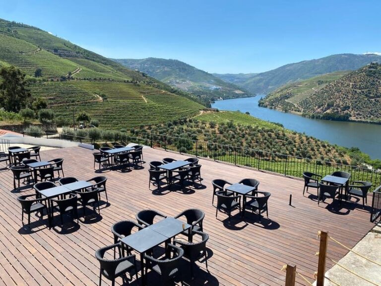 From Porto: Full-Day Douro Valley & Wine Tour with Lunch - A Deep Dive into the Douro Valley Tour Experience