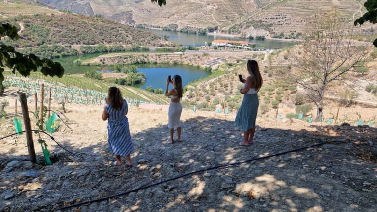 From Porto Private Wine Tour with 2 Tastings, Boat and Lunch - Authentic Experiences and Practical Details