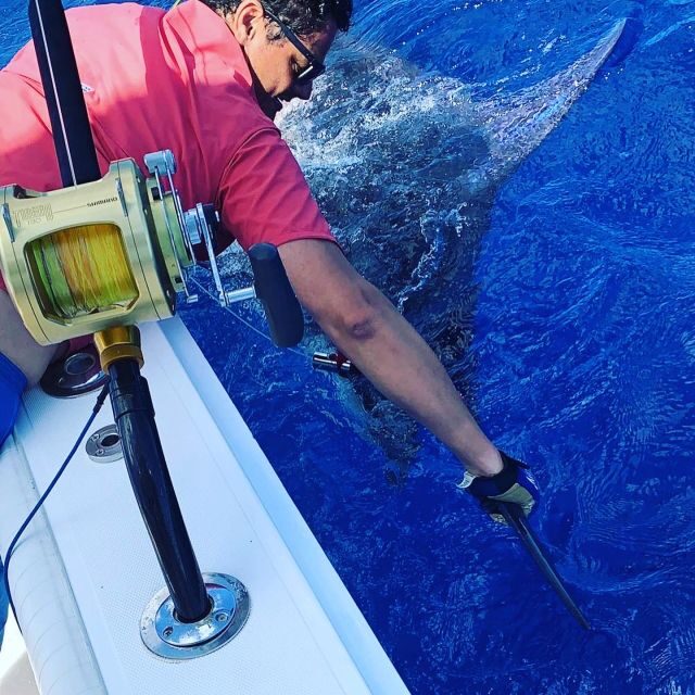 From Puerto Colón: Private Fishing Boat Charter with Lunch - Exploring Tenerife’s South Coast Through a Fishing Lens