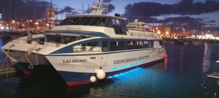 From Puerto Rico: Boat party along the coast. - An In-Depth Look at the Boat Party Experience