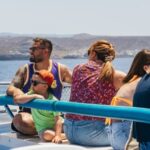 From Puerto Rico de Gran Canaria: Dolphin Watching Cruise - In The Sum Up
