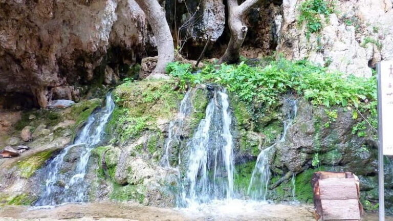From Rethymno: Cretan Stories - Analyzing the Value