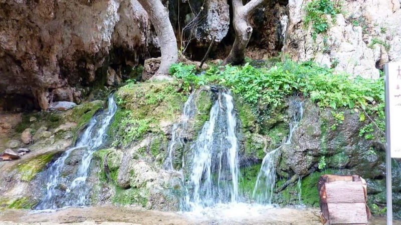 From Rethymno: Cretan Stories - Analyzing the Value
