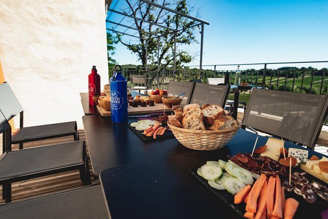 From Saint-Emilion : Electric Bike Day Tour with Wine Tastings and Picnic Lunch - What the Reviews Say