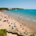 From Salou: Scaladei Charterhouse, lunch and wines - Analyzing the Value and Experience