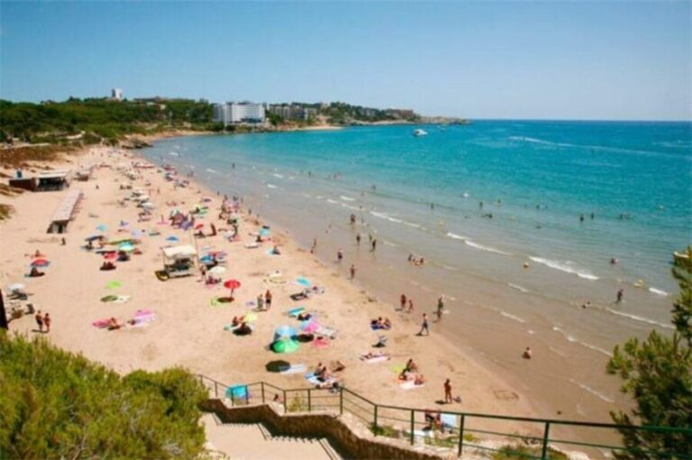 From Salou: Scaladei Charterhouse, lunch and wines - Analyzing the Value and Experience