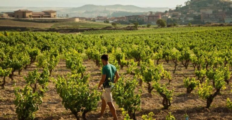 From San Sebastián: La Rioja Wine Region Day Tour - Practical Details and Considerations