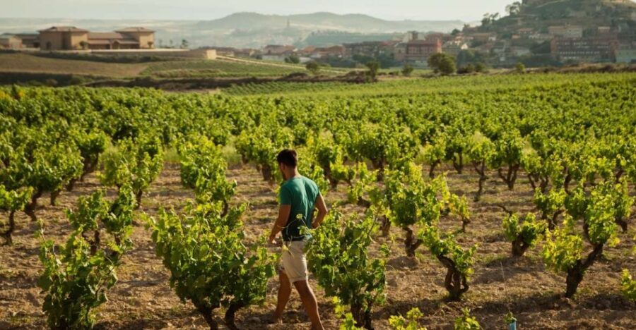From San Sebastián: La Rioja Wine Region Day Tour - Practical Details and Considerations