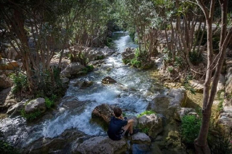 From Santa Pola and Elche: Algar Waterfalls with Transfer - Practical Considerations for Travelers