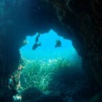 From Santa Pola: Snorkel Trip in Tabarca Island - An In-Depth Look at the Snorkel Trip in Tabarca Island