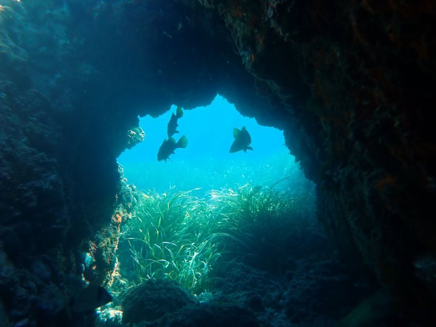 From Santa Pola: Snorkel Trip in Tabarca Island - An In-Depth Look at the Snorkel Trip in Tabarca Island