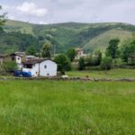 From Santander: Gastronomic Tour - Exploring Cantabria’s Flavors: A Detailed Journey