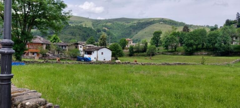 From Santander: Gastronomic Tour - Exploring Cantabria’s Flavors: A Detailed Journey