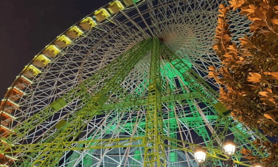 From Santiago: Christmas Lights of Vigo And Pontevedra - The Ferry Ride: A Scenic Voyage with Panoramic Views