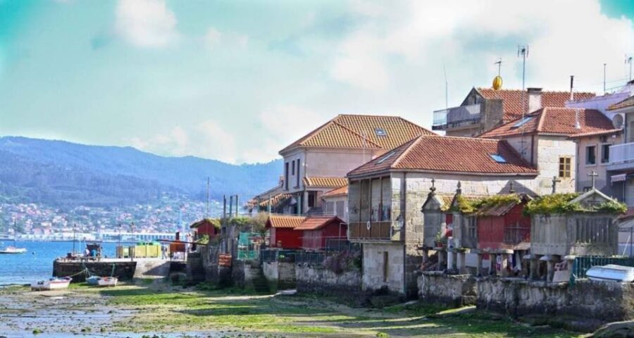 From Santiago: Rías Baixas Galicia Seafood & Wine Day Tour - Who Is This Tour Best For?