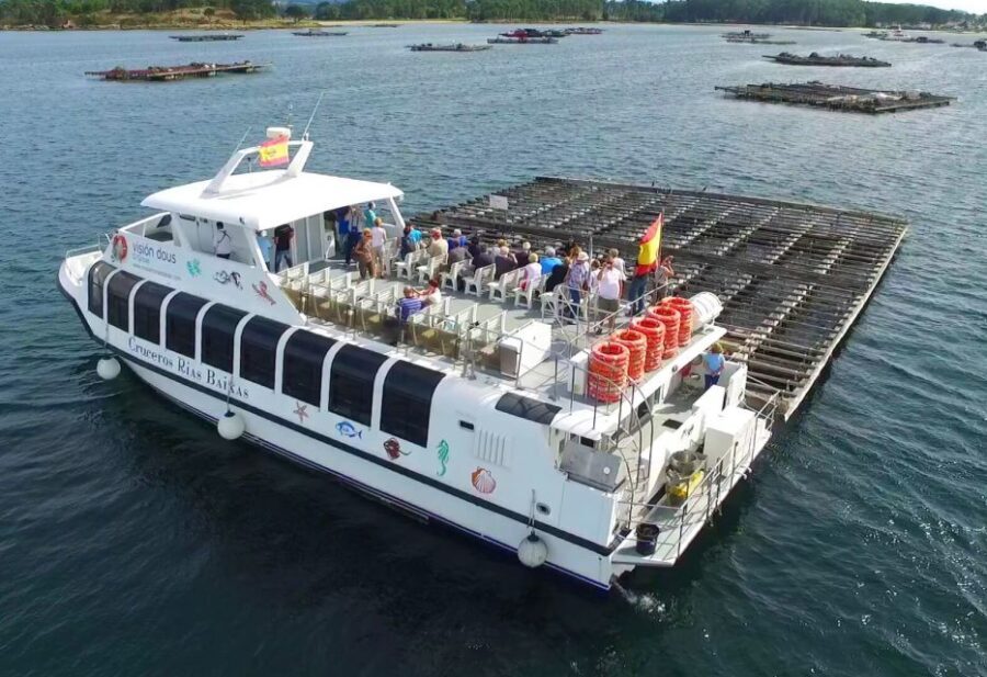 From Santiago: Tour to Rias Baixas with Boat Trip and Winery - Who Will Love This Tour?