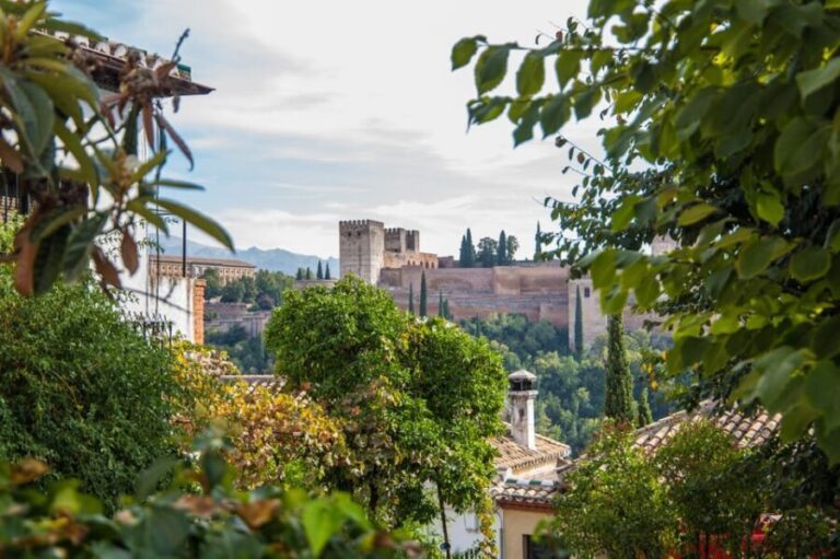 From Seville: Alhambra & Albaicín Private Tour - The Sum Up