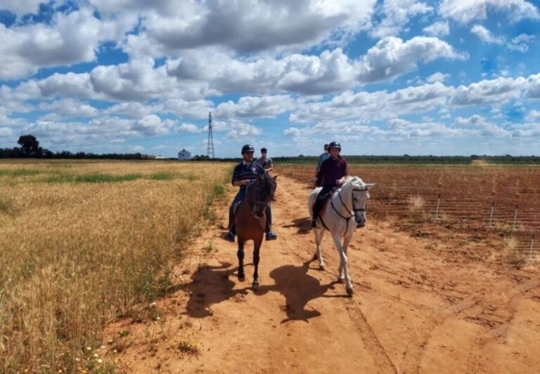 From Seville: Andalusian Horseback Ride - Who will love this experience?