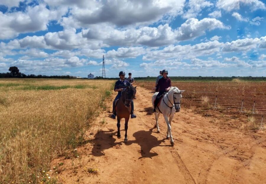 From Seville: Andalusian Horseback Ride - Who will love this experience?