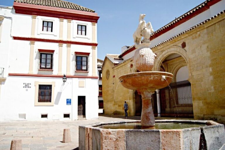 From Seville: Cordoba and its Mosque Guided Day Trip - A Closer Look at the Experience