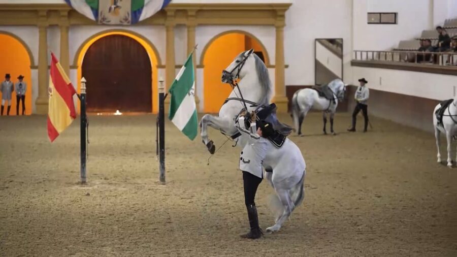 From Seville: Jerez, Cádiz and Andalusian Horses - Exploring the Tour in Detail