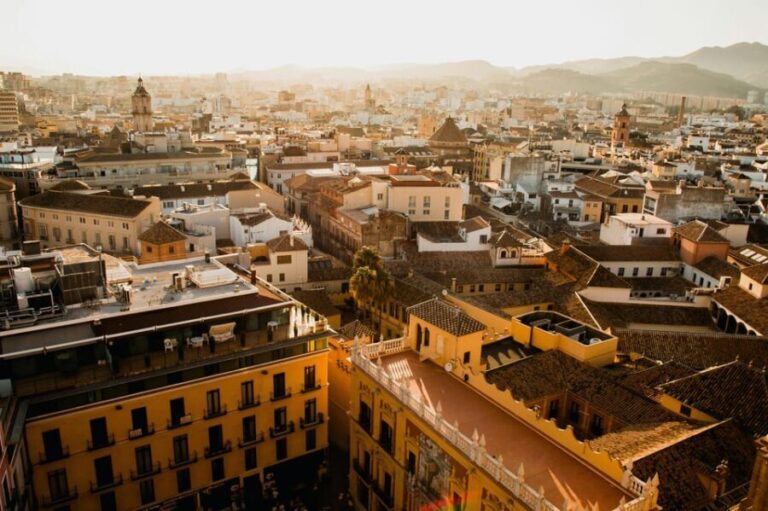 From Seville: Private excursion to Malaga with entrance fees to monuments - In-Depth Review of the Malaga Day Trip from Seville