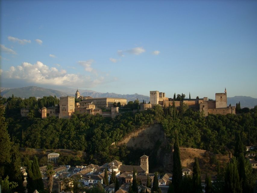 From Seville: Private Granada Day-Trip with Alhambra Visit - An In-Depth Look at the Experience